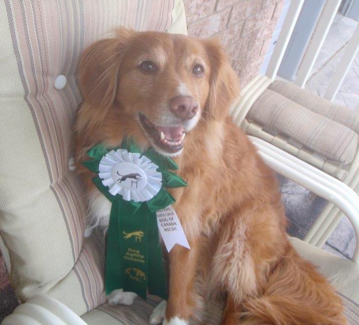 Chloe and her Masters Steeplechase ribbon